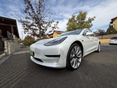 TESLA MODEL 3 2019/9 - 10