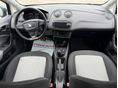 SEAT IBIZA 2012/5 - 20