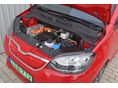 SKODA CITIGO 2020/1 - 13