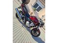 SUZUKI GSF 650 2007/2 - 4