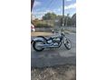 HONDA VT 750 2010/6 - 3