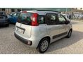 FIAT PANDA 2012/5 - 3
