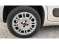 FIAT PANDA 2012/5 - 11