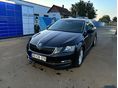 SKODA OCTAVIA 2019/2 - 6