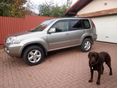 NISSAN X-TRAIL 2004 - 7
