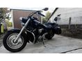 YAMAHA XVS 1300 A MIDNIGHT STAR 2008 - 4