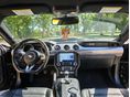 FORD MUSTANG 2019/11 - 8