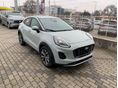 FORD PUMA 2026 - 2