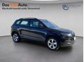 SKODA KAROQ 2019/7 - 6