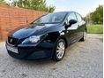 SEAT IBIZA 2010/6 - 1