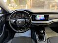 SKODA OCTAVIA 2023/3 - 8