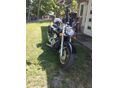 SUZUKI VL 800 (INTRUDER) 2006/10 - 2