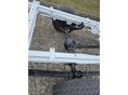 MERCEDES-BENZ SPRINTER 2003/9 - 10