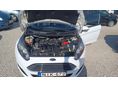 FORD FIESTA 2015/10 - 10