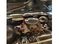 OLDSMOBILE CUTLASS 1969/1 - 5