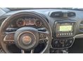 JEEP RENEGADE 2020/3 - 5