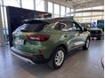 FORD KUGA 2026 - 6
