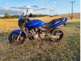 HONDA CB 600 F (HORNET) 2000 - 1