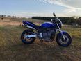 HONDA CB 600 F (HORNET) 2000 - 3