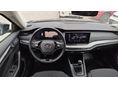 SKODA OCTAVIA 2022/5 - 9