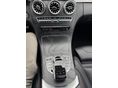 MERCEDES-AMG C 43 2019/4 - 6