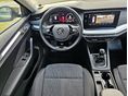 SKODA OCTAVIA 2021/6 - 21