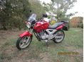 HONDA CBF 250 2005/7 - 1