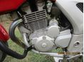 HONDA CBF 250 2005/7 - 3
