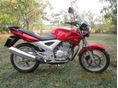 HONDA CBF 250 2005/7 - 4