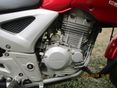 HONDA CBF 250 2005/7 - 5