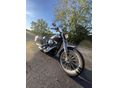 HARLEY-DAVIDSON DYNA LOW RIDER 2003/5 - 3