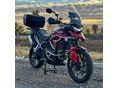 TRIUMPH TIGER 2020/8 - 2