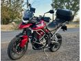 TRIUMPH TIGER 2020/8 - 1