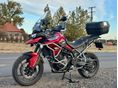 TRIUMPH TIGER 2020/8 - 6