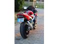 HONDA CBR 600 F4 2004/7 - 2