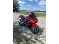 HONDA CBR 600 F4 2004/7 - 4