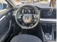 SKODA OCTAVIA 2023/9 - 6