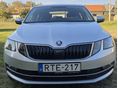 SKODA OCTAVIA 2019 - 5