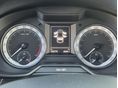 SKODA OCTAVIA 2019 - 6