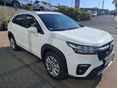SUZUKI S-CROSS 2024/9 - 6