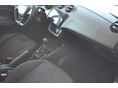 SEAT IBIZA 2010/1 - 16