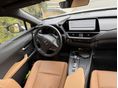 LEXUS UX 2024/10 - 7