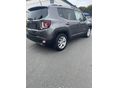 JEEP RENEGADE 2018/6 - 4