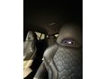 BMW X4 2023/6 - 7