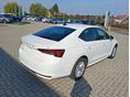 SKODA OCTAVIA 2026 - 4