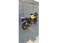 SUZUKI DL 650 2019 - 2