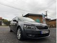 SKODA OCTAVIA 2016/3 - 2