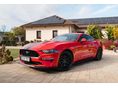 FORD MUSTANG 2019/6 - 9