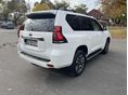 TOYOTA LAND CRUISER 2022/11 - 3