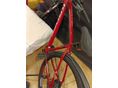 BICYCLE 2022 - 4